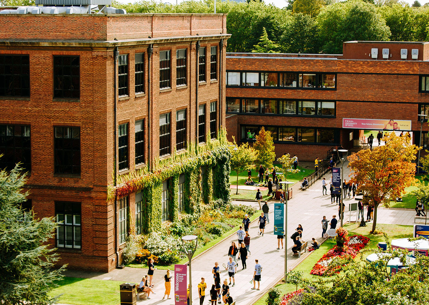 University of Hull london